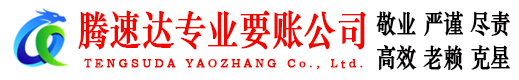 定陶腾速达清债公司